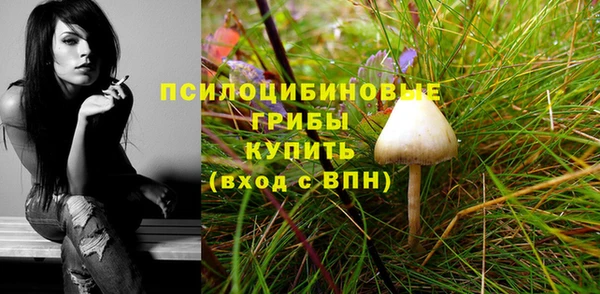 крисы Переславль-Залесский