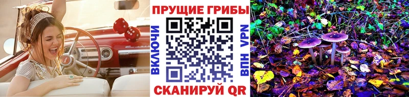 Галлюциногенные грибы Cubensis  Колпашево 
