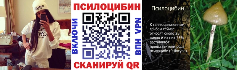 Галлюциногенные грибы GOLDEN TEACHER Колпашево